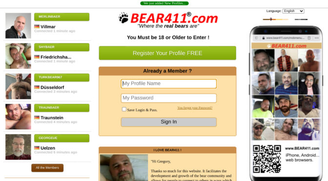 Online Dating with Bear411: The Pros and Cons